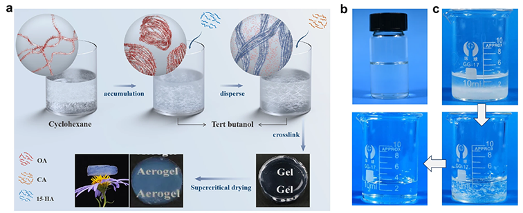 祝贺杜玉祥的研究论文《Controllable assembly of sub-1 nm nanowires for the construction of aerogels》被《Nature Communications》 接收发表！