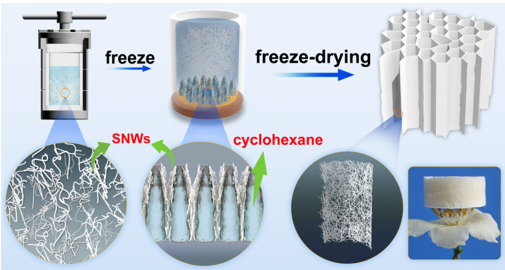 祝贺杜玉祥和刘丹的研究论文《Sub-1 nm Nanowire Aerogels》被《Advanced Functional Materials》接收发表！