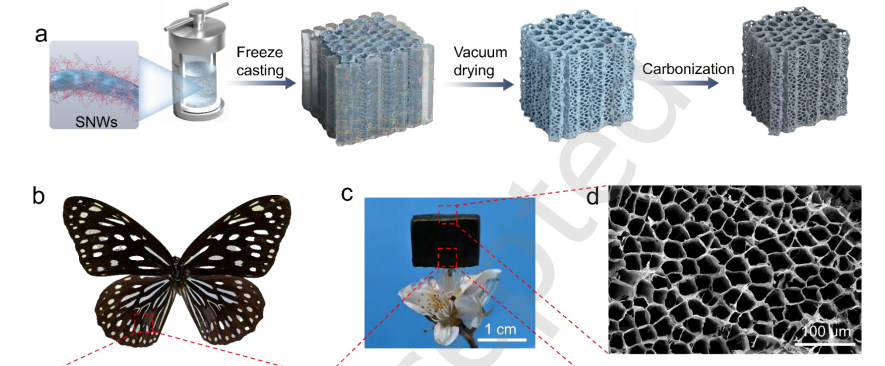 祝贺张涛的研究论文《Hierarchically porous aerogels with heterogeneous nanodomains constructed from sub-1 nm nanowires for efficient microwave absorption》被 《Nano Research》 接收发表！